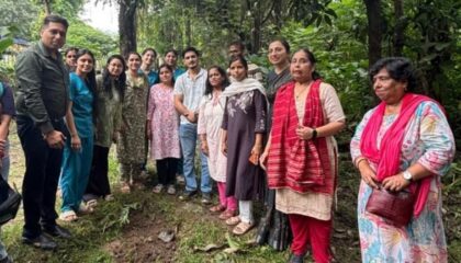 *ऋषिकुल परिसर में आयोजित हुआ बृहत वृक्षारोपण अभियान- पर्यावरण संरक्षण के साथ आयुर्वेदिक परंपरा को सहेजने का लिया संकल्प*